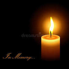 Megan Roche Obituary: Community Mourns Beloved Family Member and Friend