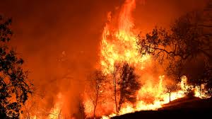 Livermore Fire Today Update: Smoke and Road Closures Reported During Response